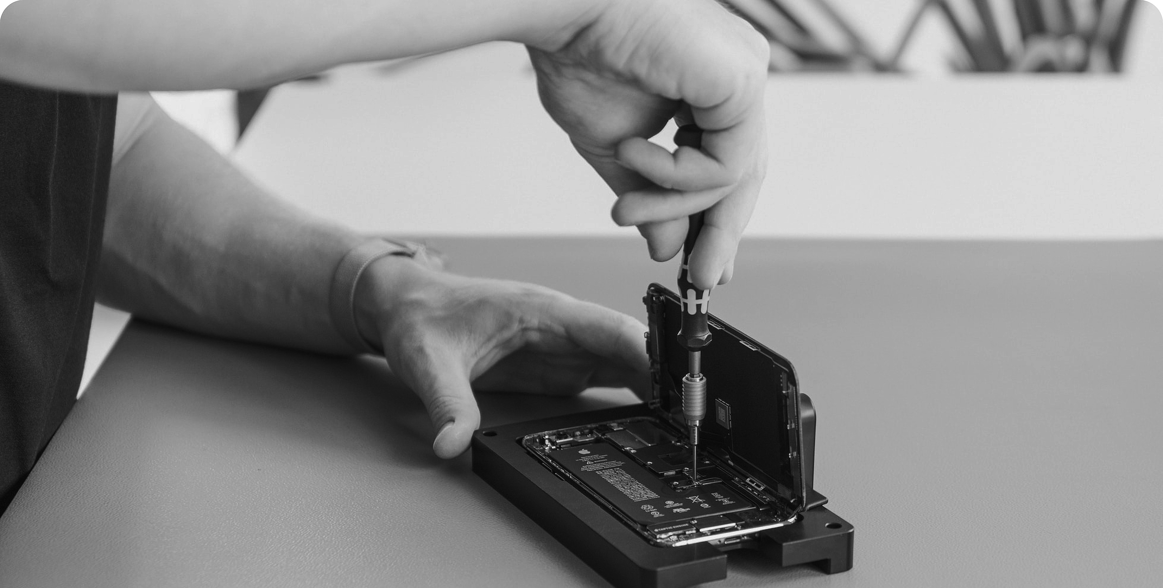 정품에 대하여 섹션 이미지